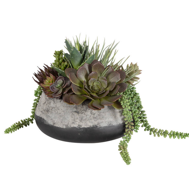 Yuma Succulent Centerpiece - Australia wide delivery Yuma Succulent Centerpiece - Australia wide delivery