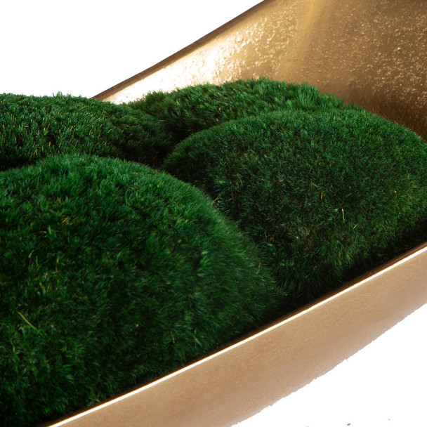 Venice Moss Centerpiece - Hobart, Launceston, Perth delivery