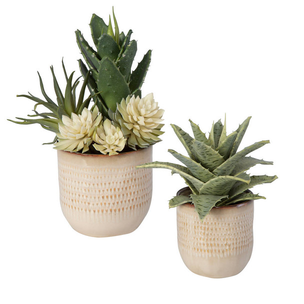 Seaside Succulents - Set/2 Contemporary style Botanical Decor
