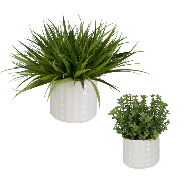 Edgewood Greenery - Set/2 Contemporary style Botanical Decor