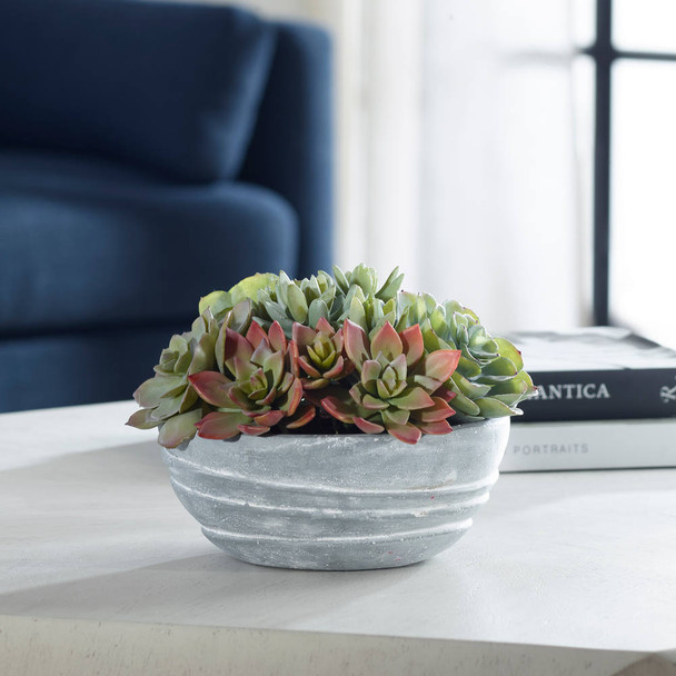Peoria Succulent Accent - Size: 18H x 25W x 25D (cm) - Contemporary style