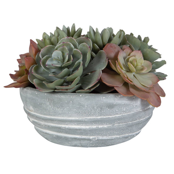 Peoria Succulent Accent Contemporary style Botanical Decor