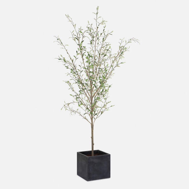 Abundance Potted Olive Tree Countryside style Botanical Decor Abundance Potted Olive Tree Countryside style Botanical Decor
