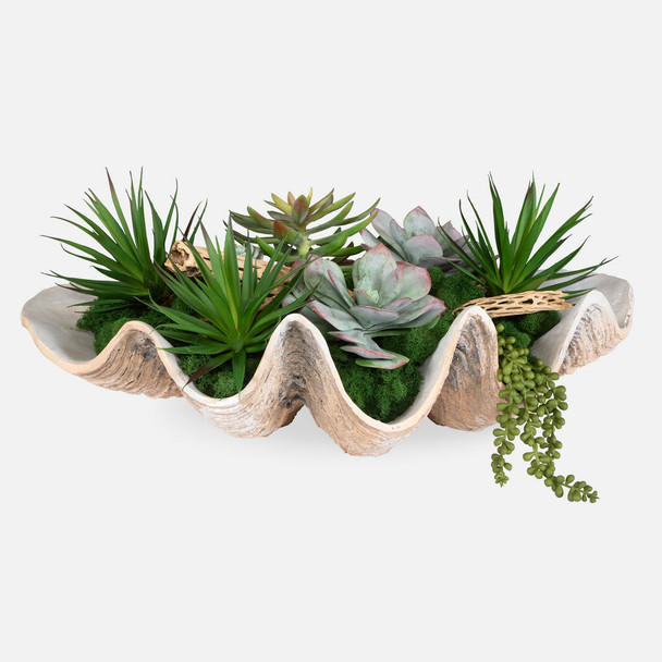 Seaside Breeze Succulents Coastal style Botanical Decor