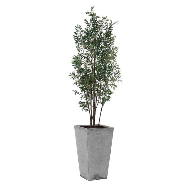 Sonora Olive Tree In Planter - Size: 227H x 84W x 80D (cm) - Organic style