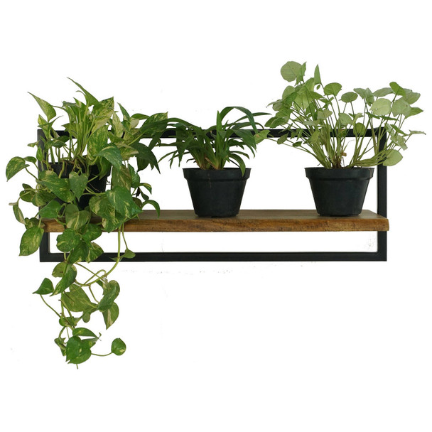 Live Edge Shelf - 75cm - Hand made Living Room furniture