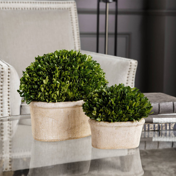 Oval Domes Preserved Boxwood Set/2 - Size: 31H x 36W x 20D (cm) - Contemporary style