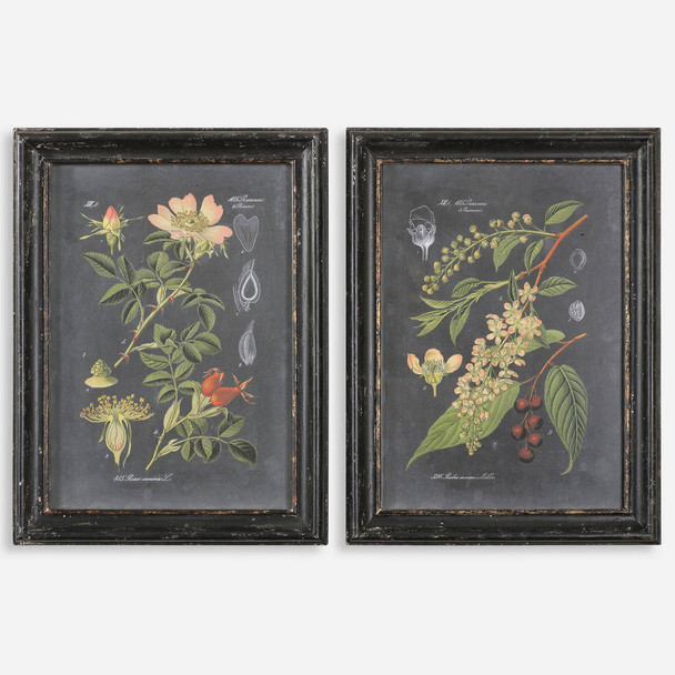 Midnight Botanicals Wall Art S/2 Coastal style Print Decor Midnight Botanicals Wall Art S/2 Coastal style Print Decor