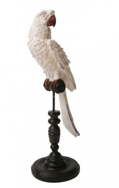 Ornamental Parrot - Blanc