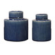 Saniya Blue Containers - S/2 Geometric style Bottle Decor