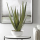 Evarado Aloe Planter - Size: 72H x 43W x 43D (cm) - Contemporary style