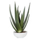 Evarado Aloe Planter Contemporary style Botanical Decor