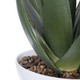 Evarado Aloe Planter - Hobart, Launceston, Perth delivery