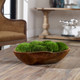 Kinsale Moss Centerpiece - Size: 18H x 48W x 23D (cm) - Contemporary style