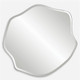 Curiosity Organic Mirror Organic style Wall Mirror Decor