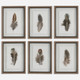 Birds Of A Feather Framed Prints - S/6 Contemporary style Print Decor