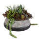 Yuma Succulent Centerpiece - Hobart, Launceston, Perth delivery Yuma Succulent Centerpiece - Hobart, Launceston, Perth delivery