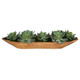 Yuma Succulent Centerpiece - Melbourne, Sydney, Brisbane delivery Yuma Succulent Centerpiece - Melbourne, Sydney, Brisbane delivery