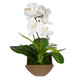 Transcend Orchid Centerpiece - Melbourne, Sydney, Brisbane delivery