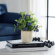 Blueberry Fields Accent - Size: 28H x 25W x 25D (cm) - Contemporary style Blueberry Fields Accent - Size: 28H x 25W x 25D (cm) - Contemporary style