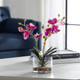 Glory Fuchsia Orchid - Size: 15H x 40W x 40D (cm) - Contemporary style