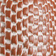 Maclura Brown Table Lamp - Australia wide delivery