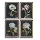 Florals On Black Framed Prints Set/4 Countryside style Print Decor