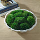 Awaken Moss Centerpiece - Australia wide delivery