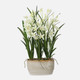 Ariana Orchid Planter Contemporary style Botanical Decor