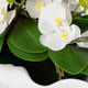 Opulence Orchid Centerpiece With Bowl Organic style Botanical Decor Opulence Orchid Centerpiece With Bowl Organic style Botanical Decor