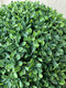 Boxwood Topiary Ball - 40cm Fully Assembled