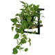 Live Edge Shelf - 25cm - Melbourne, Sydney, Brisbane Architectural style Living Room furniture