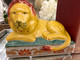 ISLA007 Porcelain Isla Lion Bookends - C.A.M 