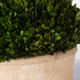 Oval Domes Preserved Boxwood Set/2 - Hobart, Launceston, Perth delivery