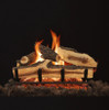 Dual Gas Logs Burner - Natural Gas by Grand Canyon Gas Logs - 2BRN-18
