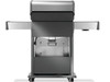 Napoleon Rogue PRO 425 SIB 3-Burner Gas Grill with Infrared Side Burner - RP425SIBXSS-2