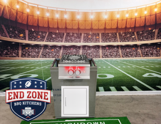 End Zone Power Burner Module (TrueFlame)