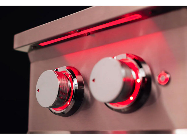 End Zone Power Burner Module (TrueFlame)