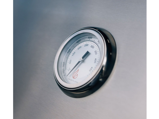 End Zone 32" Grill Module (TrueFlame E-Series)