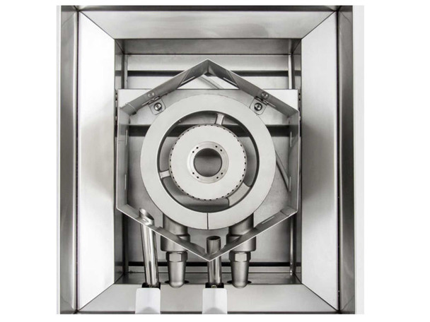 End Zone Power Burner Module (Blaze + TrueFlame)