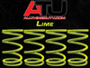 RZR AID Tender Springs RZR Models