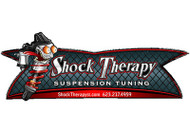 Shock Therapy