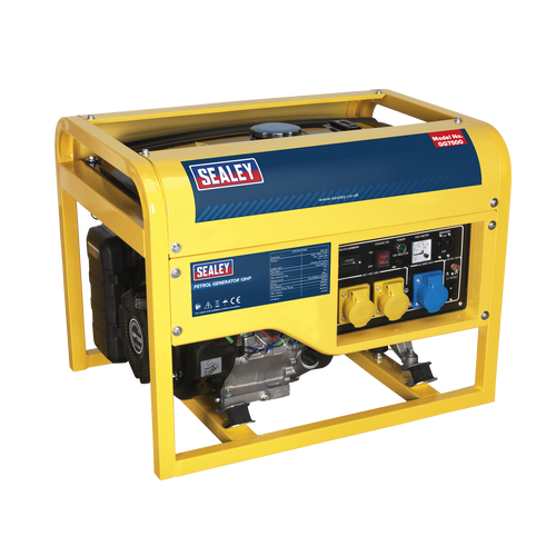 Generator 6000W 110/230V 13hp | Heavy-duty industrial frame design provides full protection and aids portability. | toolforce.ie