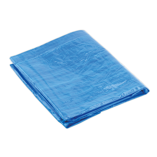 Sealey 6.10 x 12.19m Tarpaulin - Blue Colour TARP2040