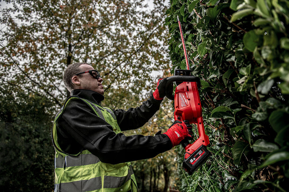 cutting trimming shaping hedge