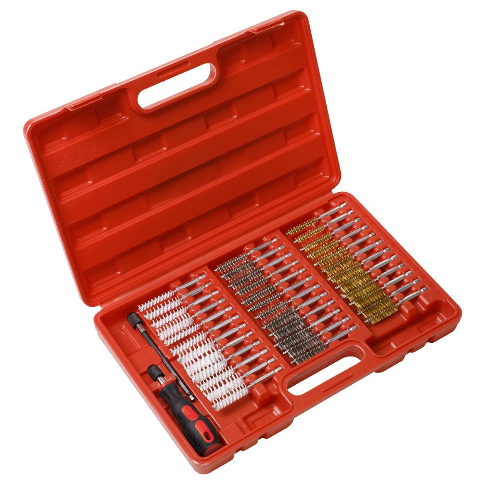 Sealey 38pc Cleaning Brush Set Injector Bore VS1910
