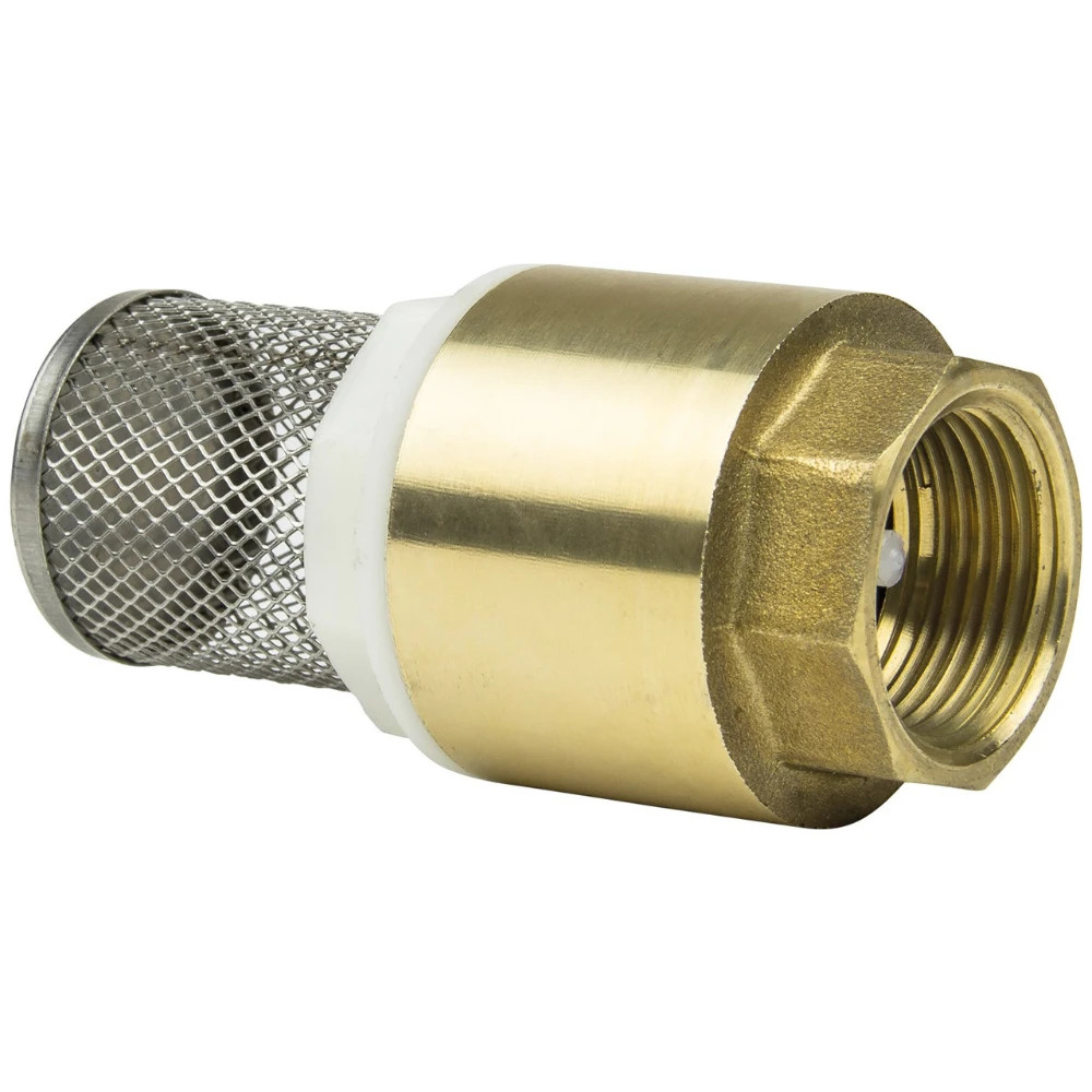 Non-return valve to aid self-priming