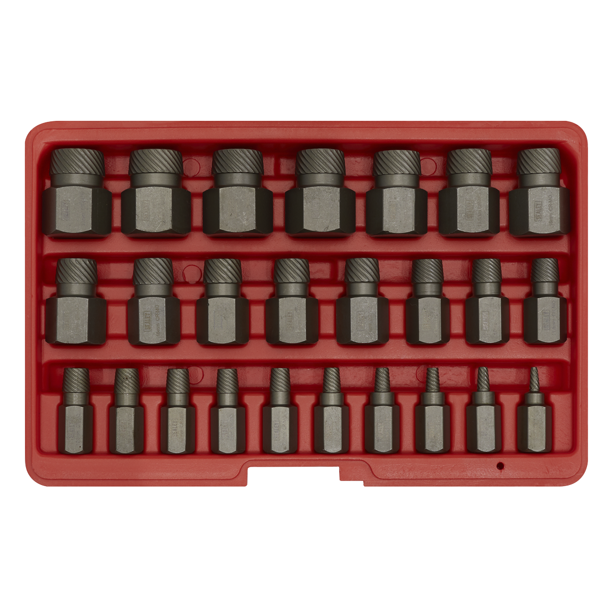 Screw, studs and bolts Extractor set