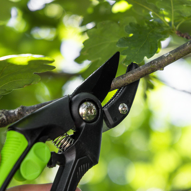 Secateurs for pruning stems and dry branches