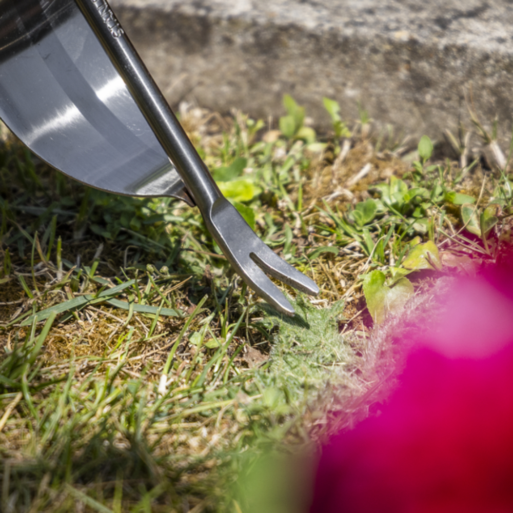 Sealey weeder for picking weeds at the root